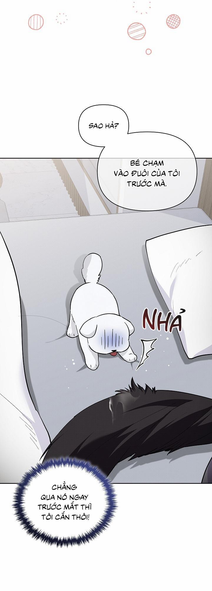 ĐỪNG ĐỘNG VÀO CÚN CON! 32 trang 25