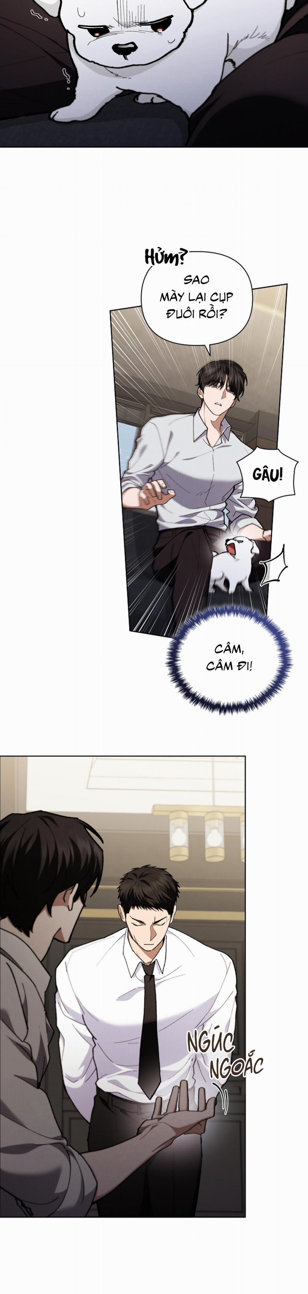 ĐỪNG ĐỘNG VÀO CÚN CON! 4 trang 34