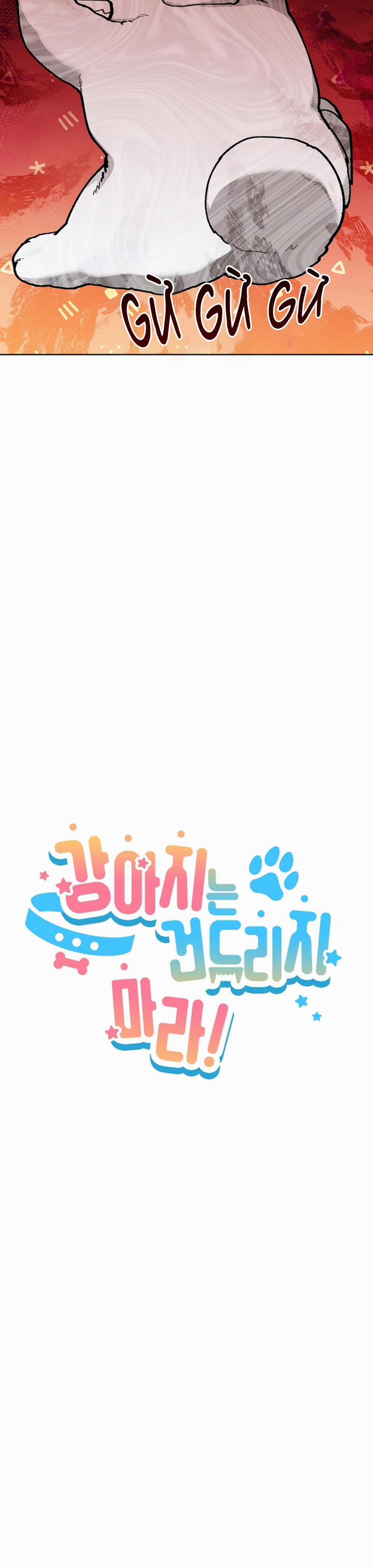 ĐỪNG ĐỘNG VÀO CÚN CON! 6 trang 17