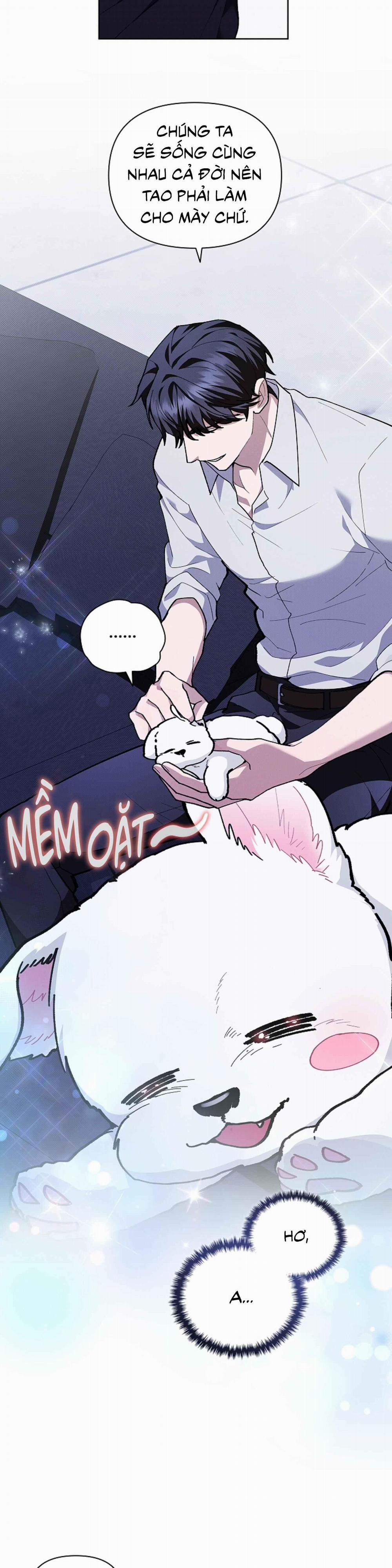 ĐỪNG ĐỘNG VÀO CÚN CON! 6 trang 29