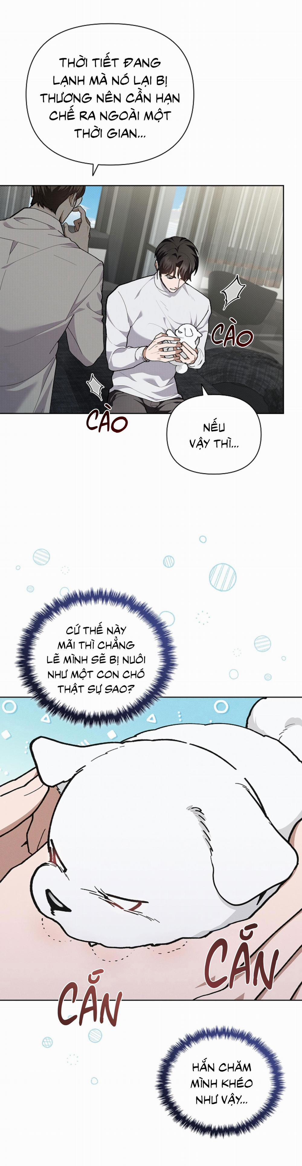ĐỪNG ĐỘNG VÀO CÚN CON! 7 trang 14