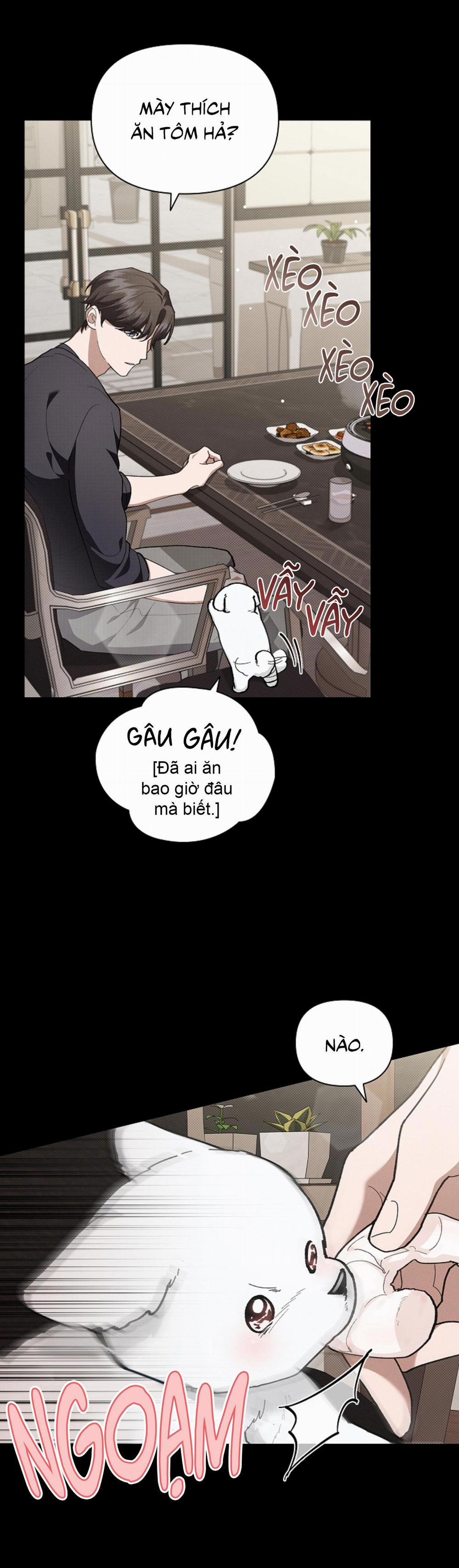 ĐỪNG ĐỘNG VÀO CÚN CON! 7 trang 16