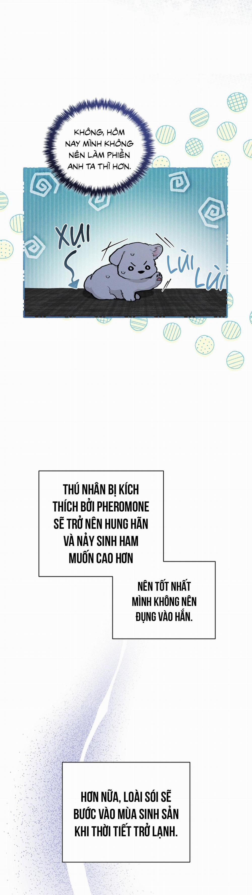 ĐỪNG ĐỘNG VÀO CÚN CON! 7 trang 31