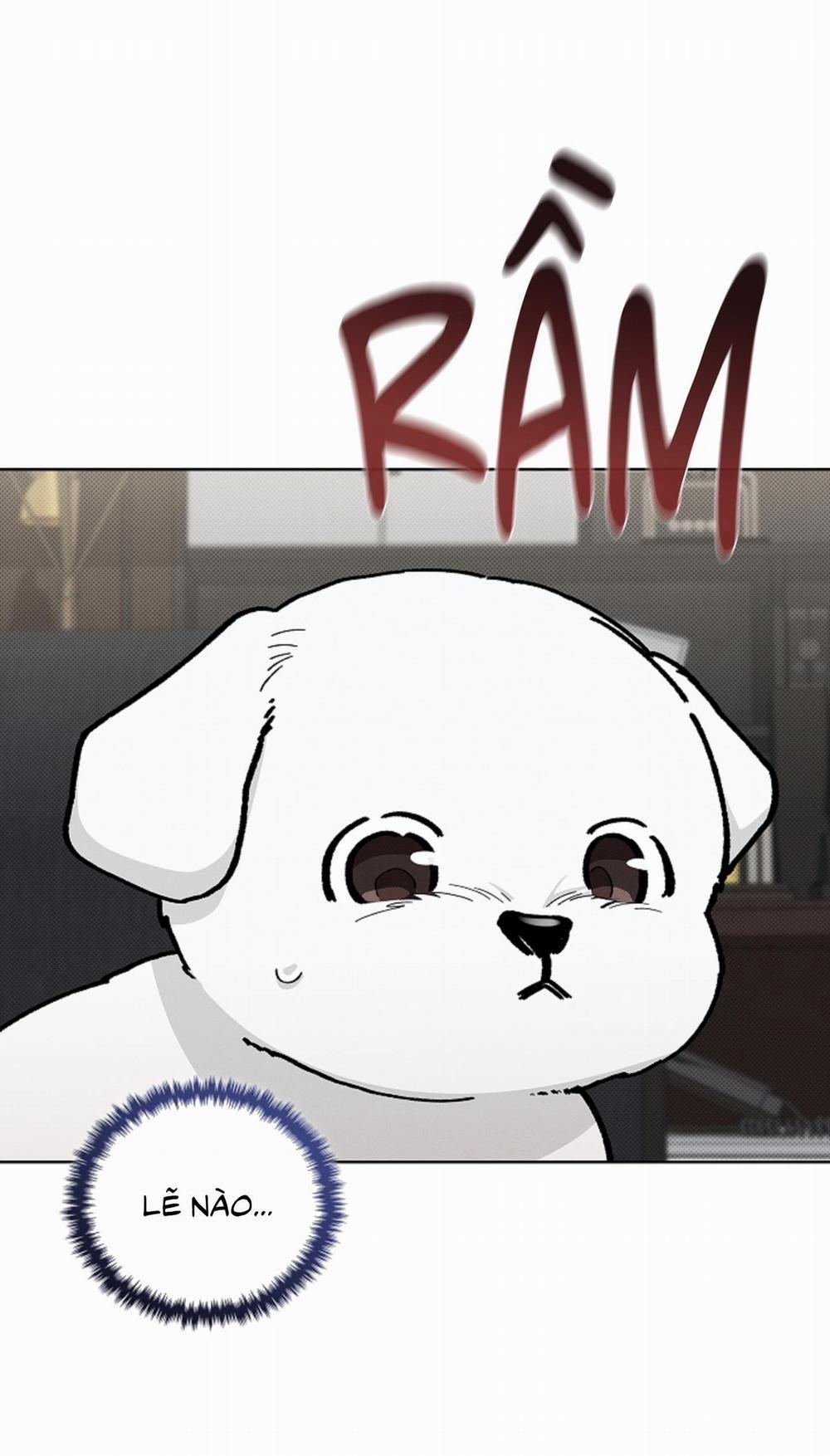 ĐỪNG ĐỘNG VÀO CÚN CON! 8 trang 32