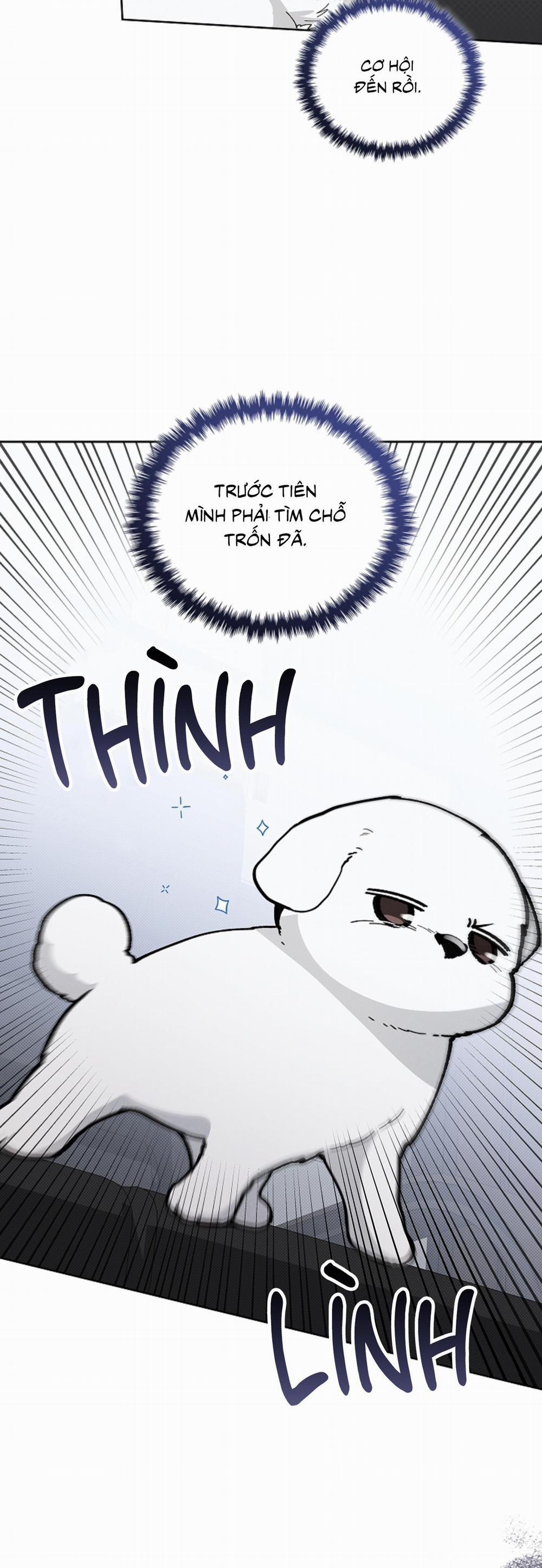 ĐỪNG ĐỘNG VÀO CÚN CON! 9 trang 34