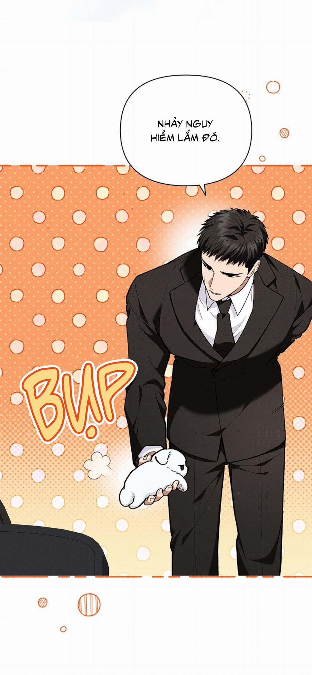 ĐỪNG ĐỘNG VÀO CÚN CON! 9 trang 37