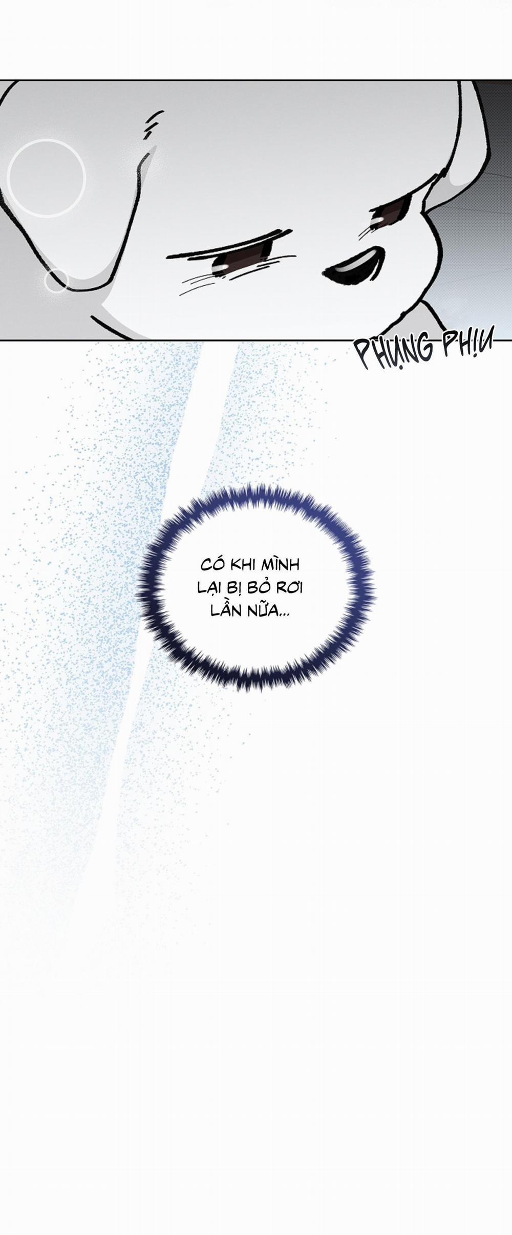 ĐỪNG ĐỘNG VÀO CÚN CON! 9 trang 41