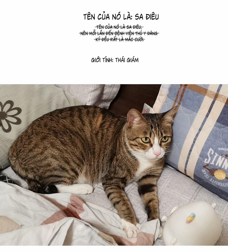 Đừng Nói Yêu Tôi (Don't Say You Love Me) 52.5 trang 3