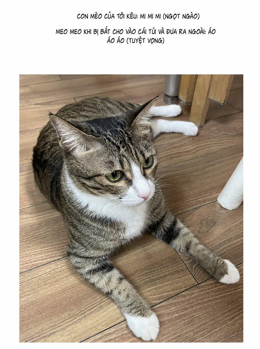 Đừng Nói Yêu Tôi (Don't Say You Love Me) 52.5 trang 5