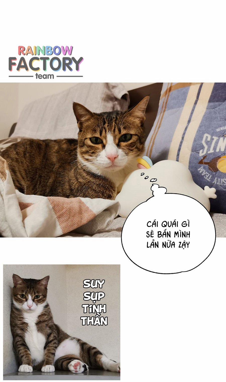 Đừng Nói Yêu Tôi 52.5 trang 8