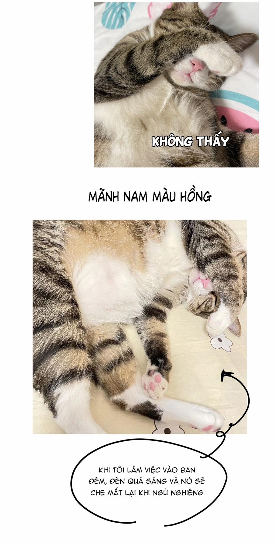 Đừng Nói Yêu Tôi 52.5 trang 9