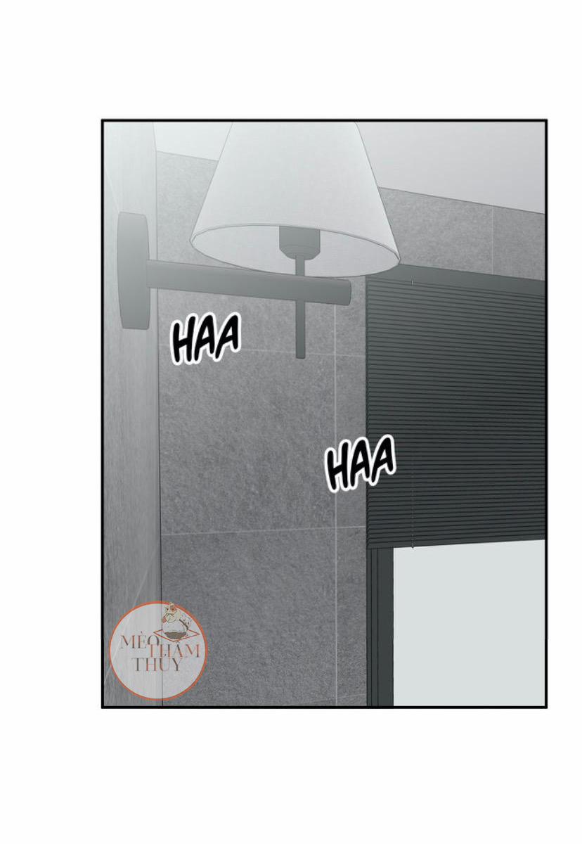 Đừng Viết Nữa, Tác Giả Thân Mến! 4 trang 1