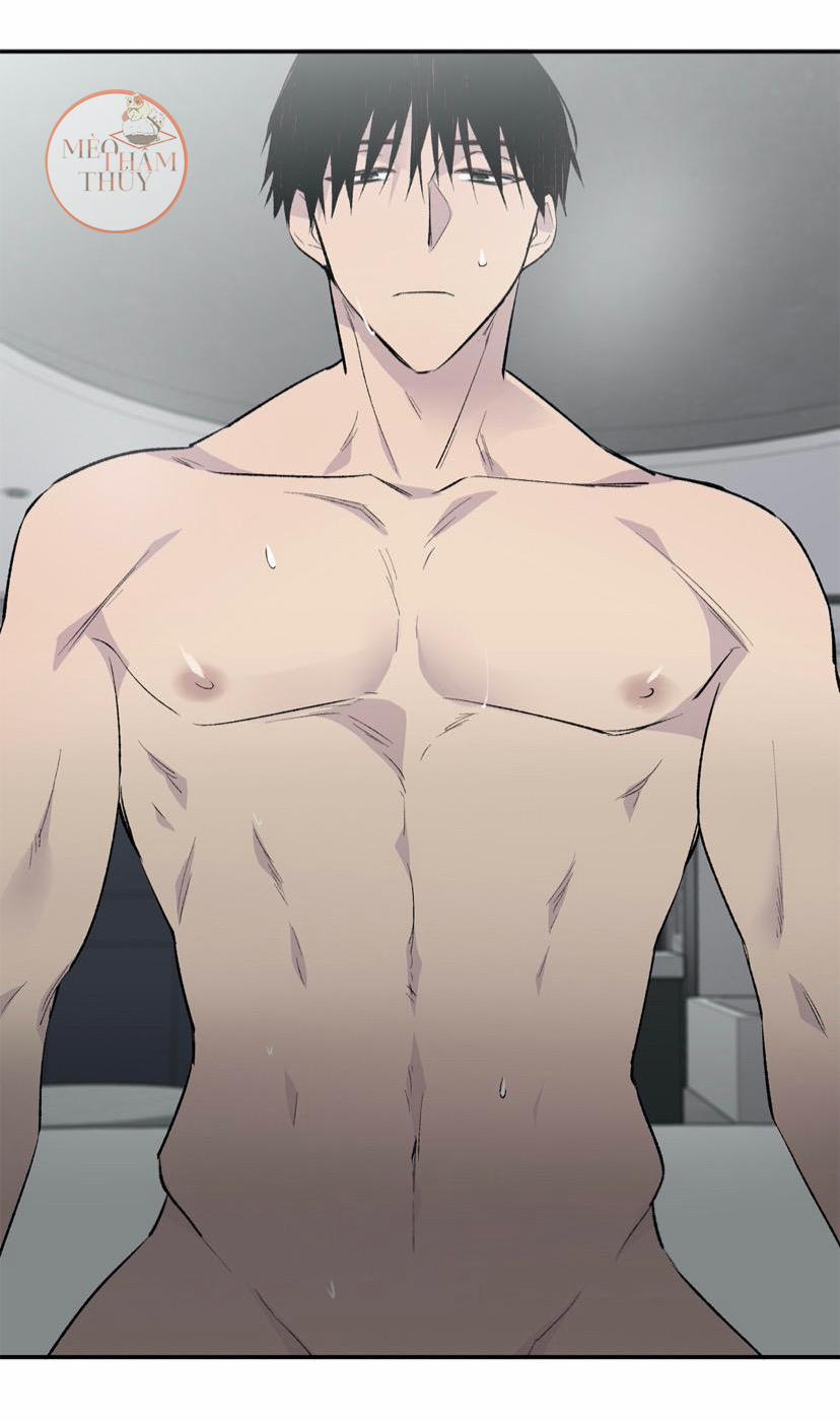 Đừng Viết Nữa, Tác Giả Thân Mến! 4 trang 5