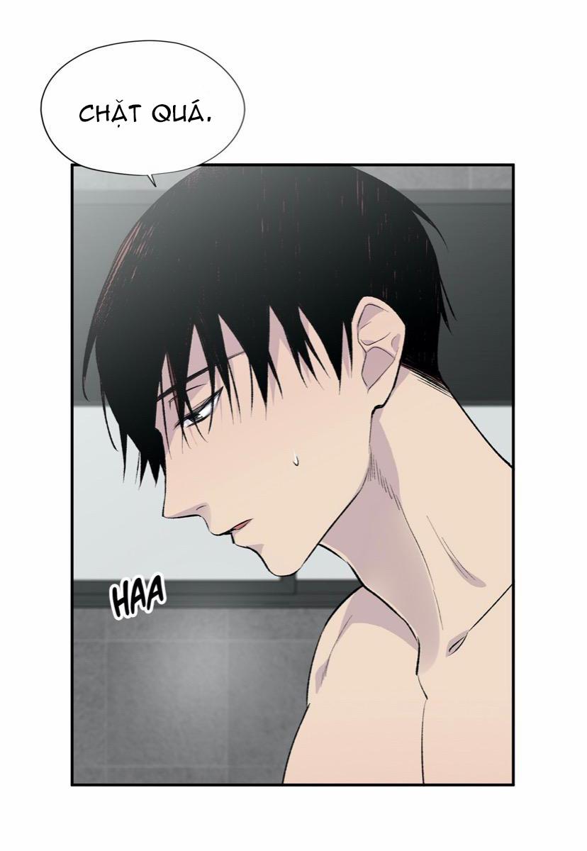 Đừng Viết Nữa, Tác Giả Thân Mến! 4 trang 6