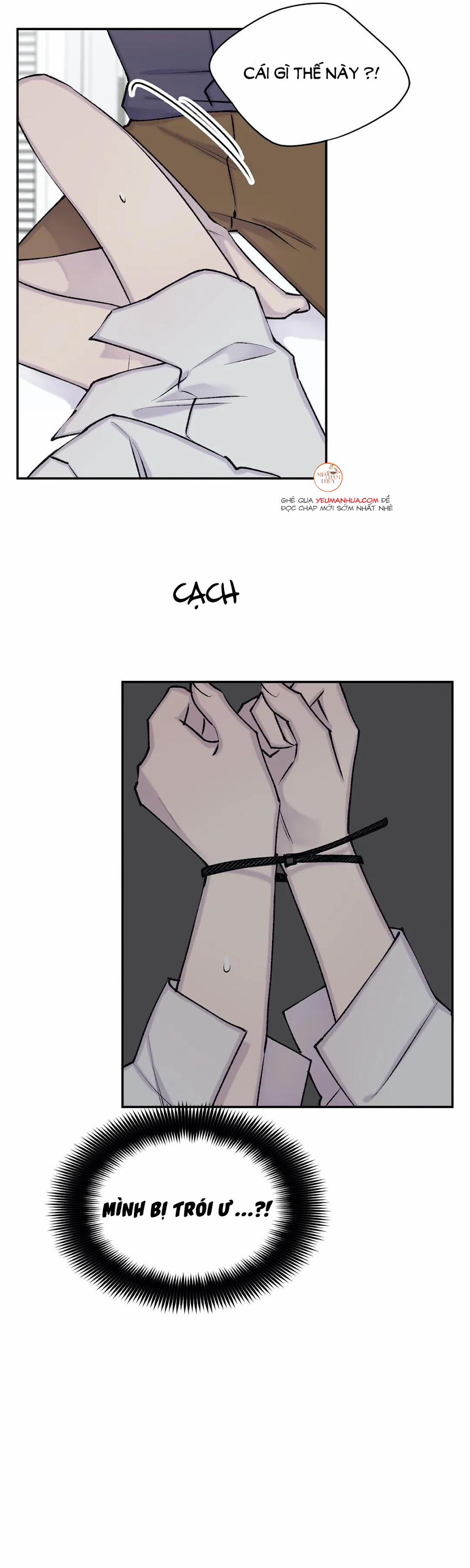 Đừng Viết Nữa, Tác Giả Thân Mến! 41 trang 11