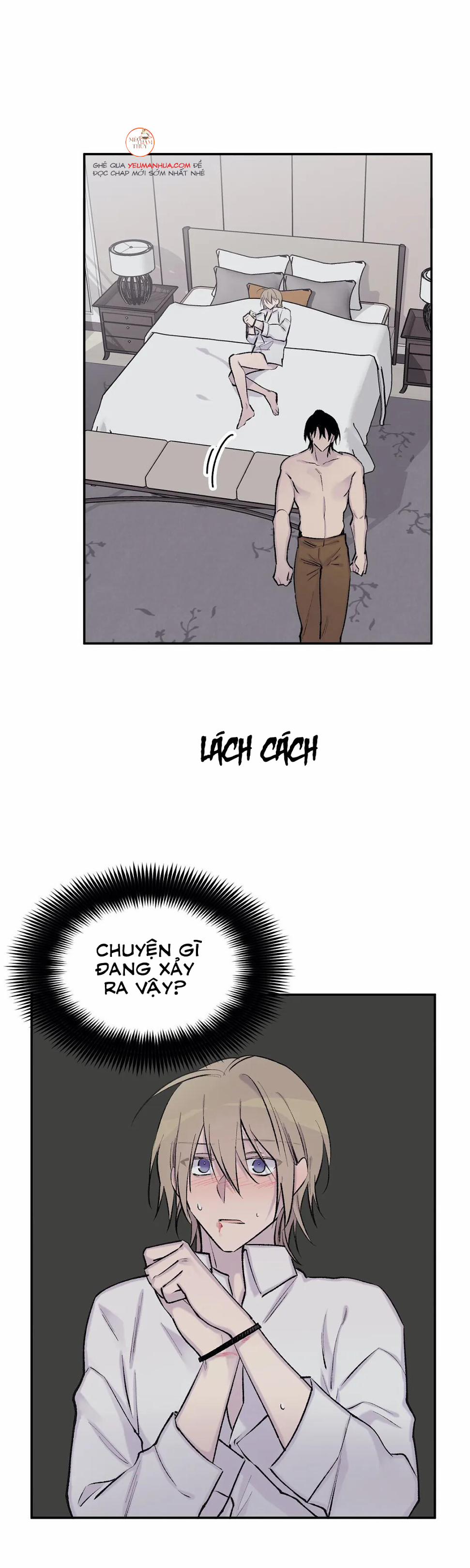 Đừng Viết Nữa, Tác Giả Thân Mến! 42 trang 1