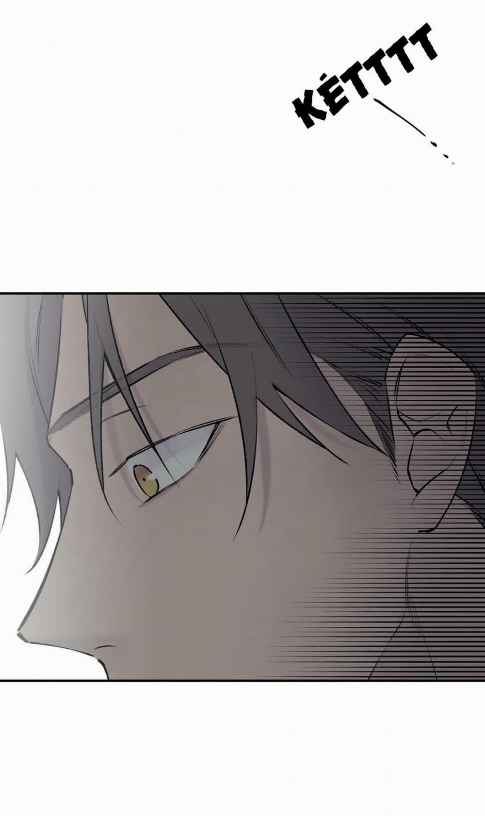 Đừng Viết Nữa, Tác Giả Thân Mến! 51 trang 16