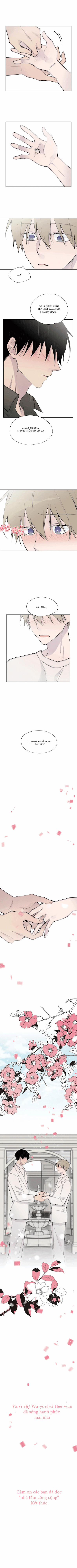 Đừng Viết Nữa, Tác Giả Thân Mến! 59 trang 4