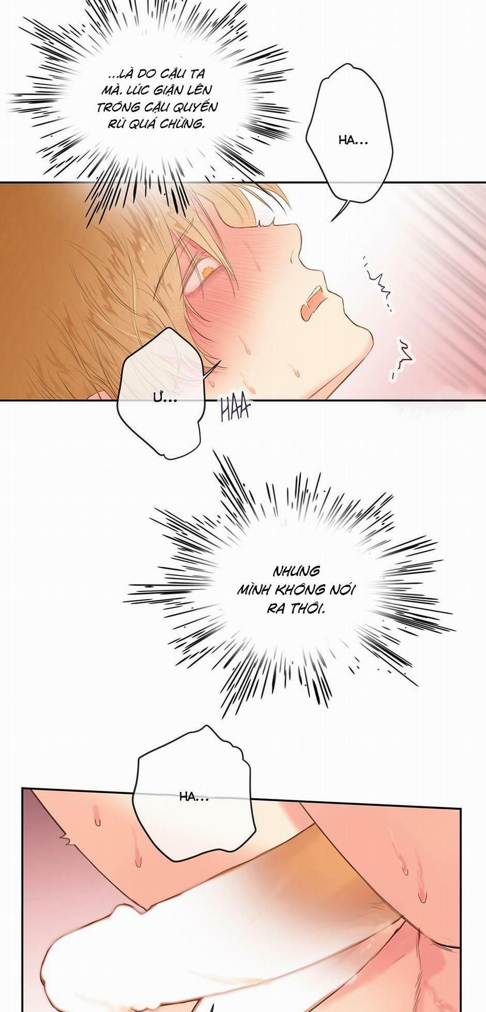 Đứng Yên, Không Tôi Sẽ Nổ Súng 12 trang 21