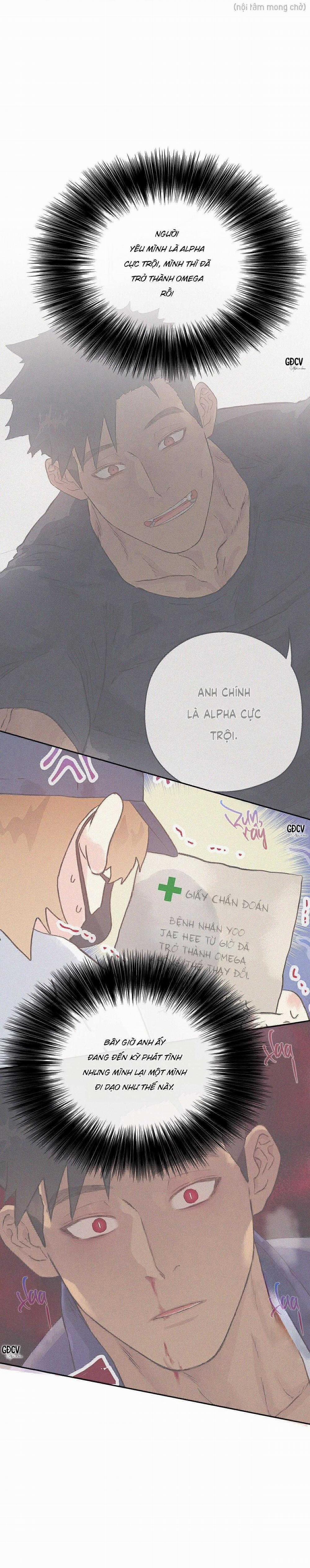 Đứng Yên, Nhúc Nhích Là Cứng Đó! 33 trang 15