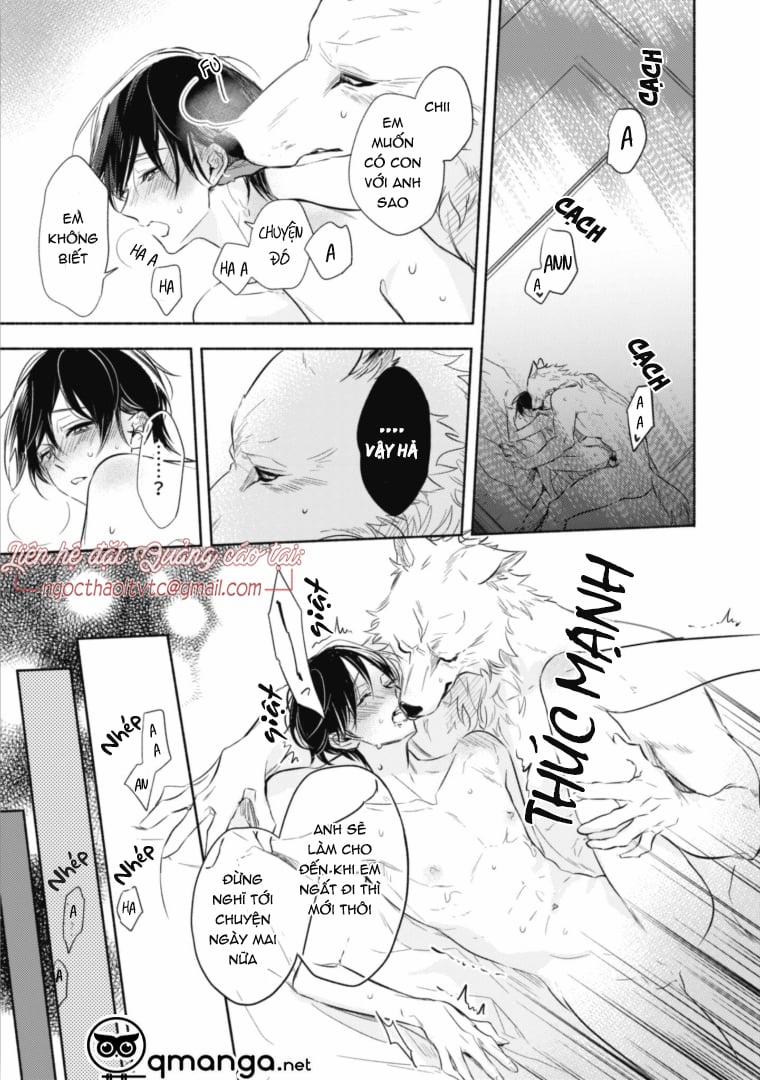 Được Papa Sói Cưng Chiều 4.2 trang 8