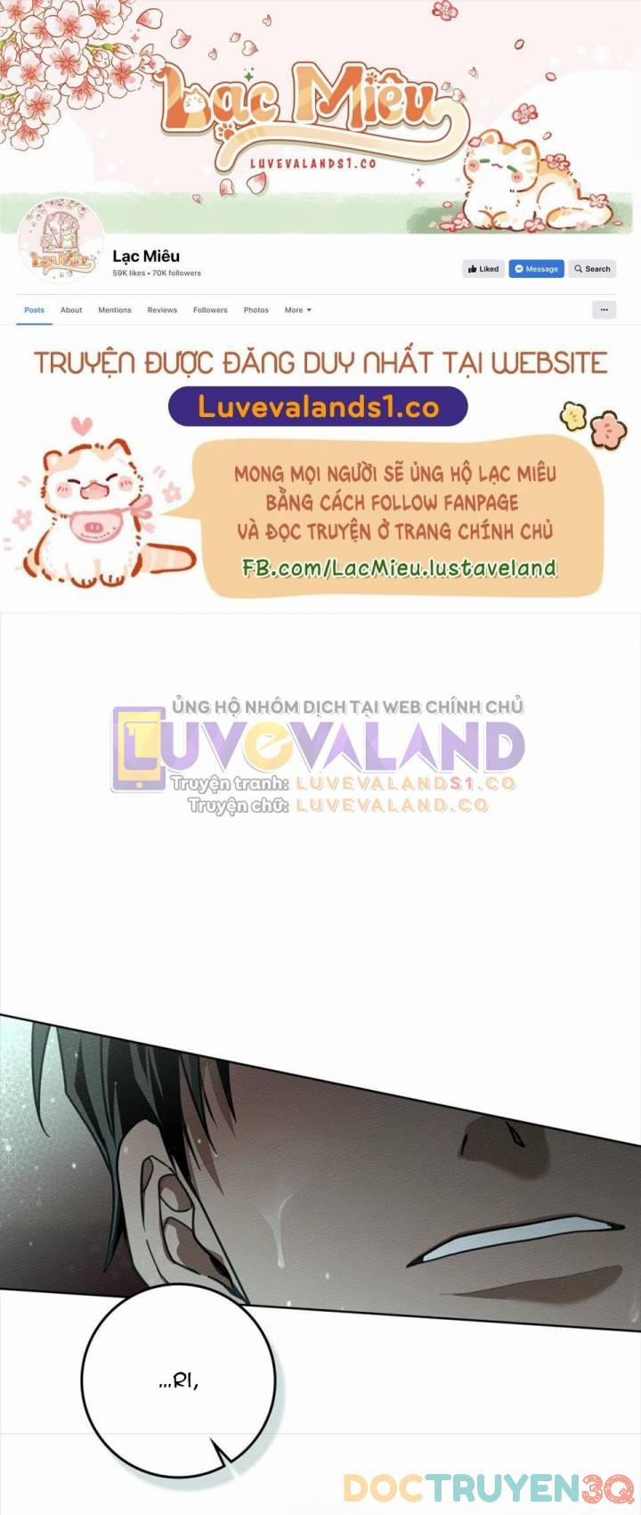 Dưới Bóng Cây Sồi 104 trang 0