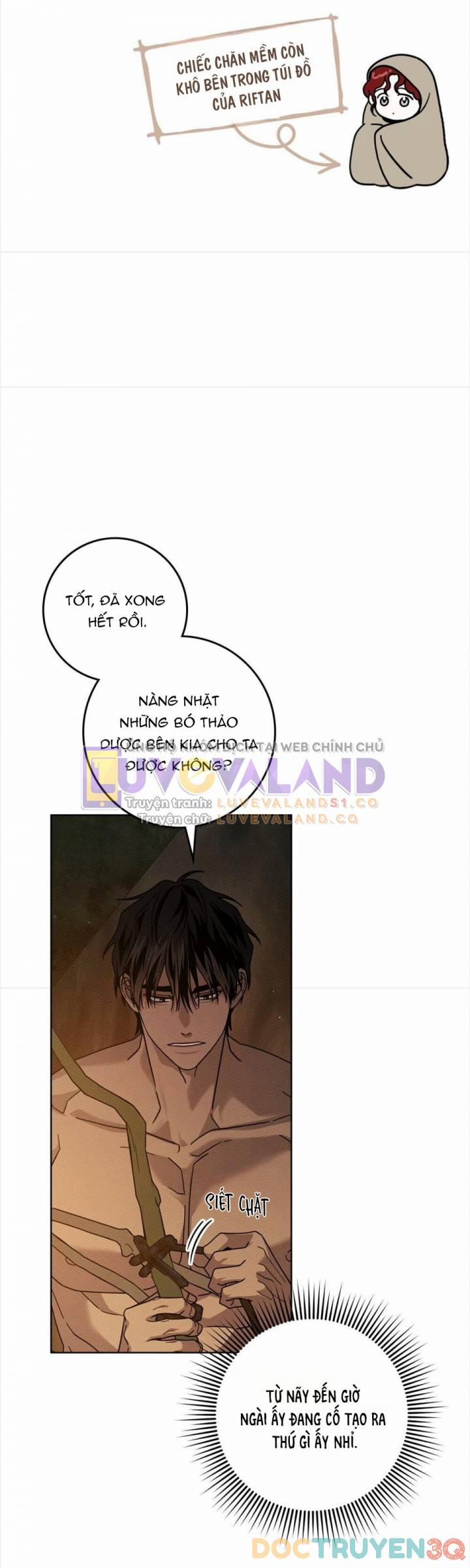 Dưới Bóng Cây Sồi 104 trang 14