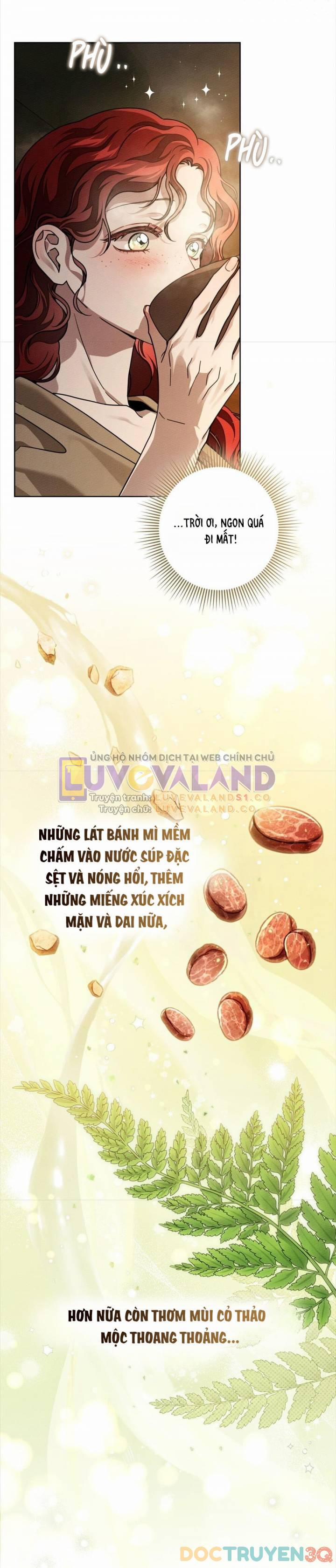 Dưới Bóng Cây Sồi 104 trang 23