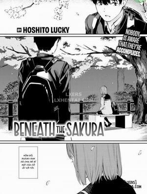 Đọc truyện tranh Dưới Cây Hoa Anh Đào