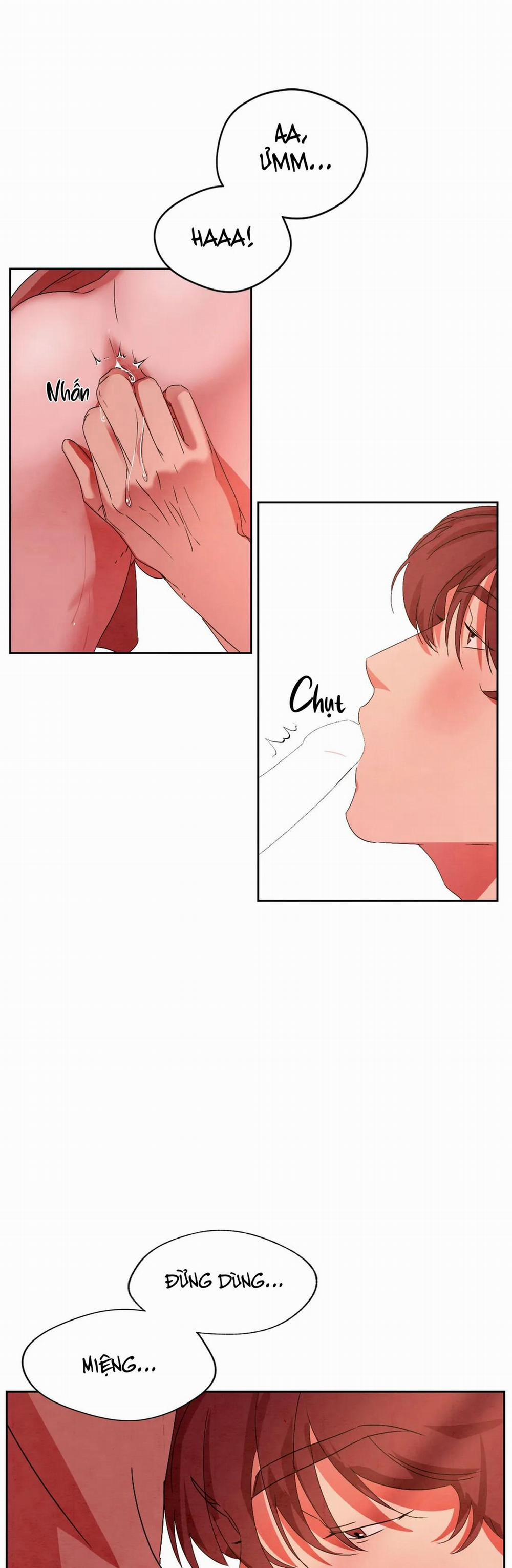 Dưới Đáy Biển Xanh 8 trang 25