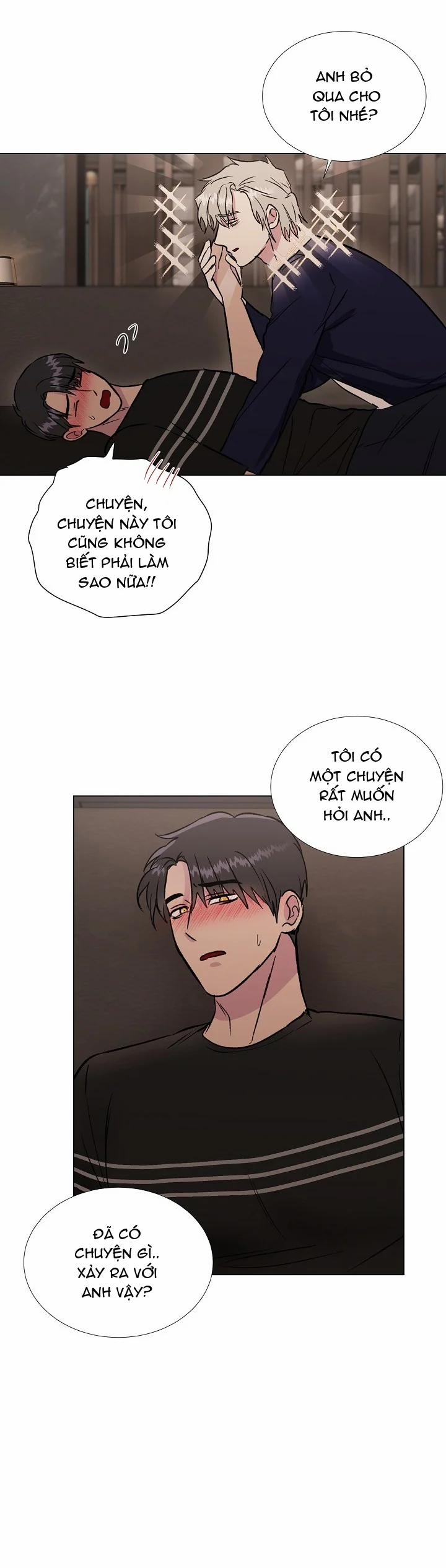 Dưới Đôi Cánh Ấy 38 trang 3