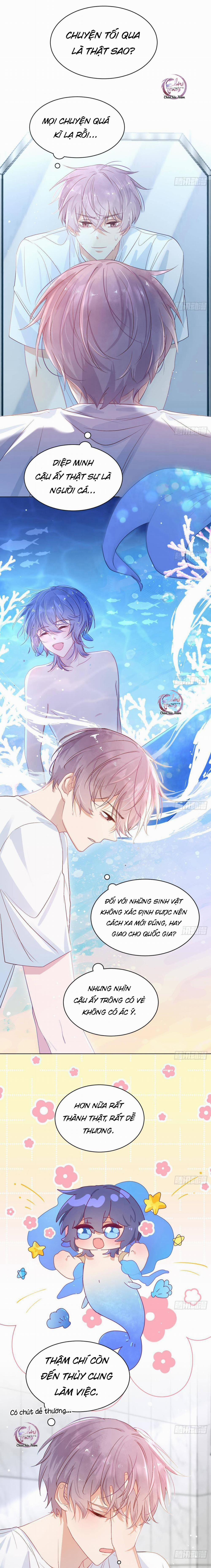 Đuôi Nè, Sờ Hông? 4 trang 4