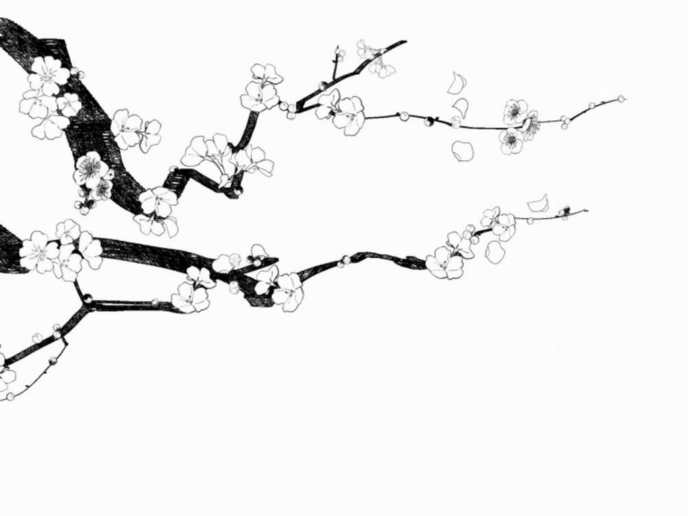 Dưới Tán Hoa Mai 10 trang 70