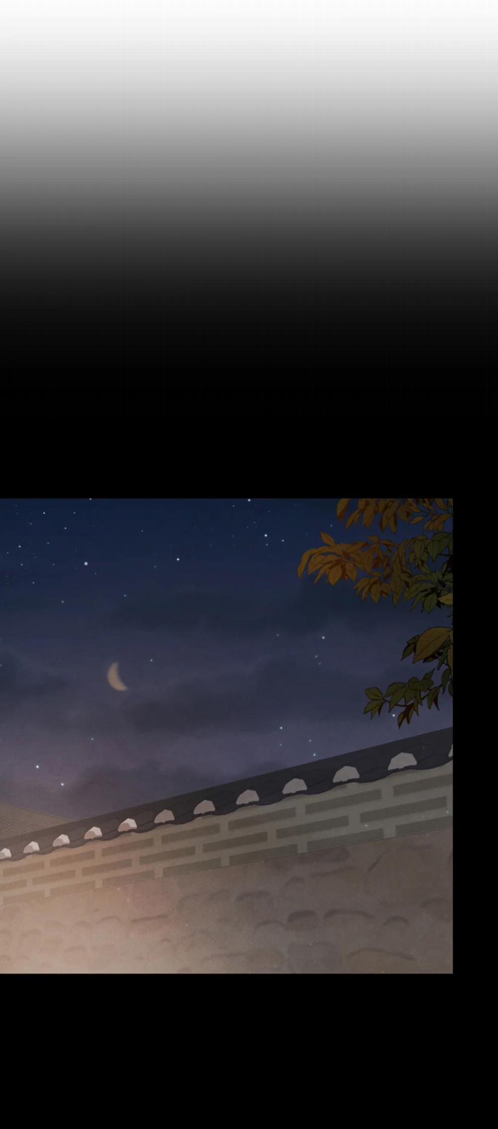 Dưới Tán Hoa Mai 14 trang 16