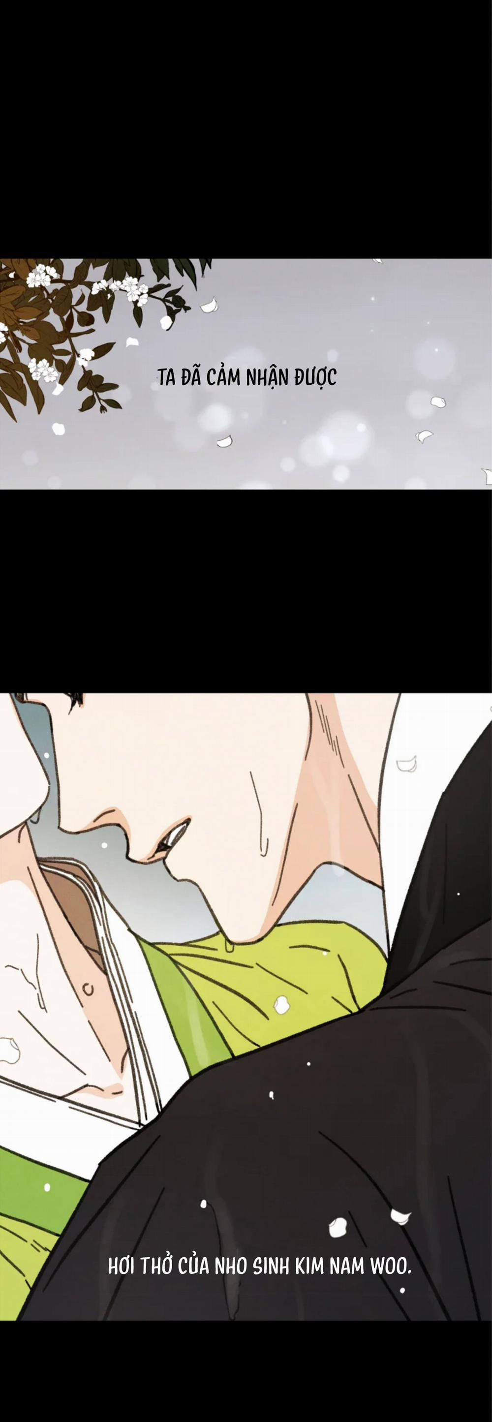 Dưới Tán Hoa Mai 16 trang 0