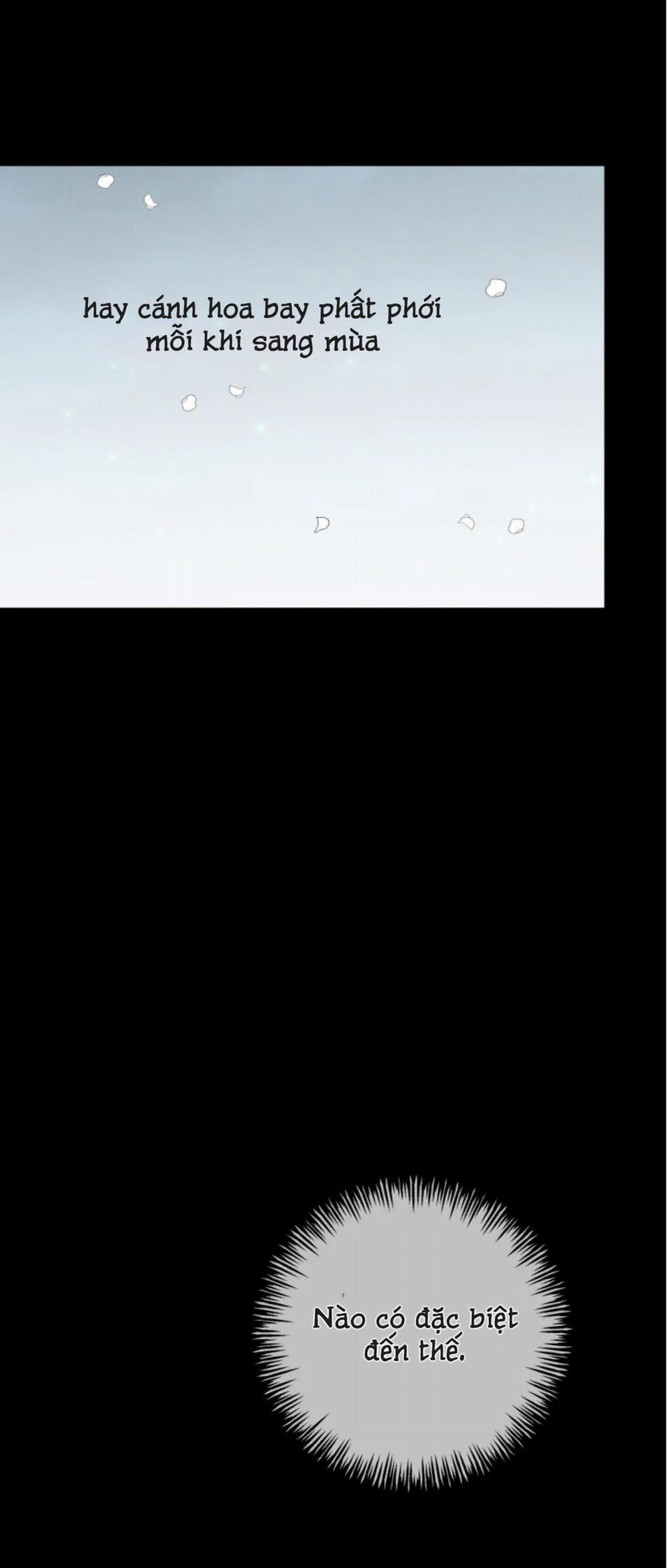 Dưới Tán Hoa Mai 17 trang 25