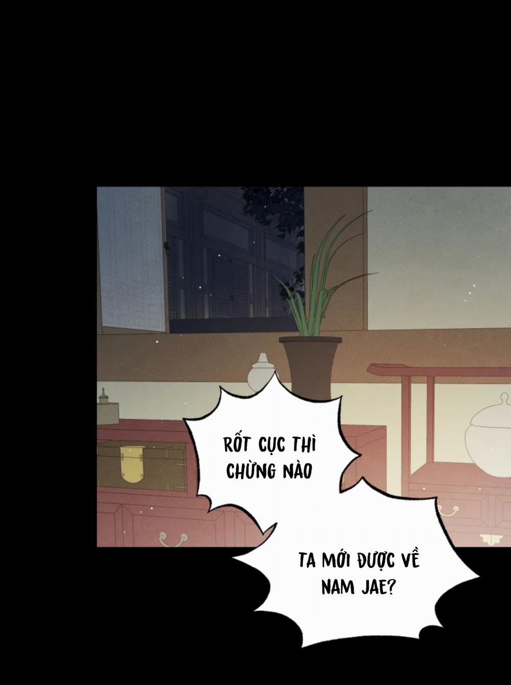 Dưới Tán Hoa Mai 8 trang 38