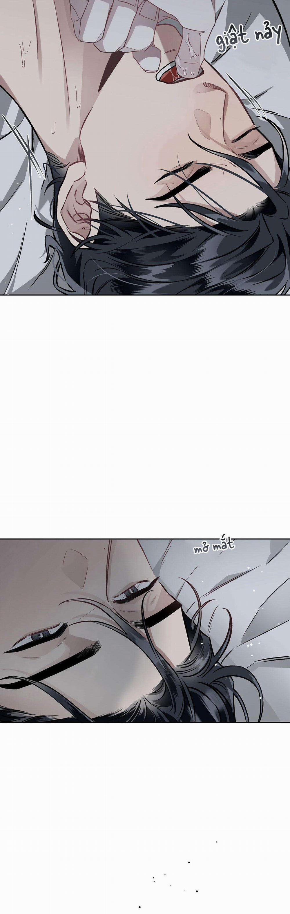 Dưới Vùng Đất Xanh 4 trang 1