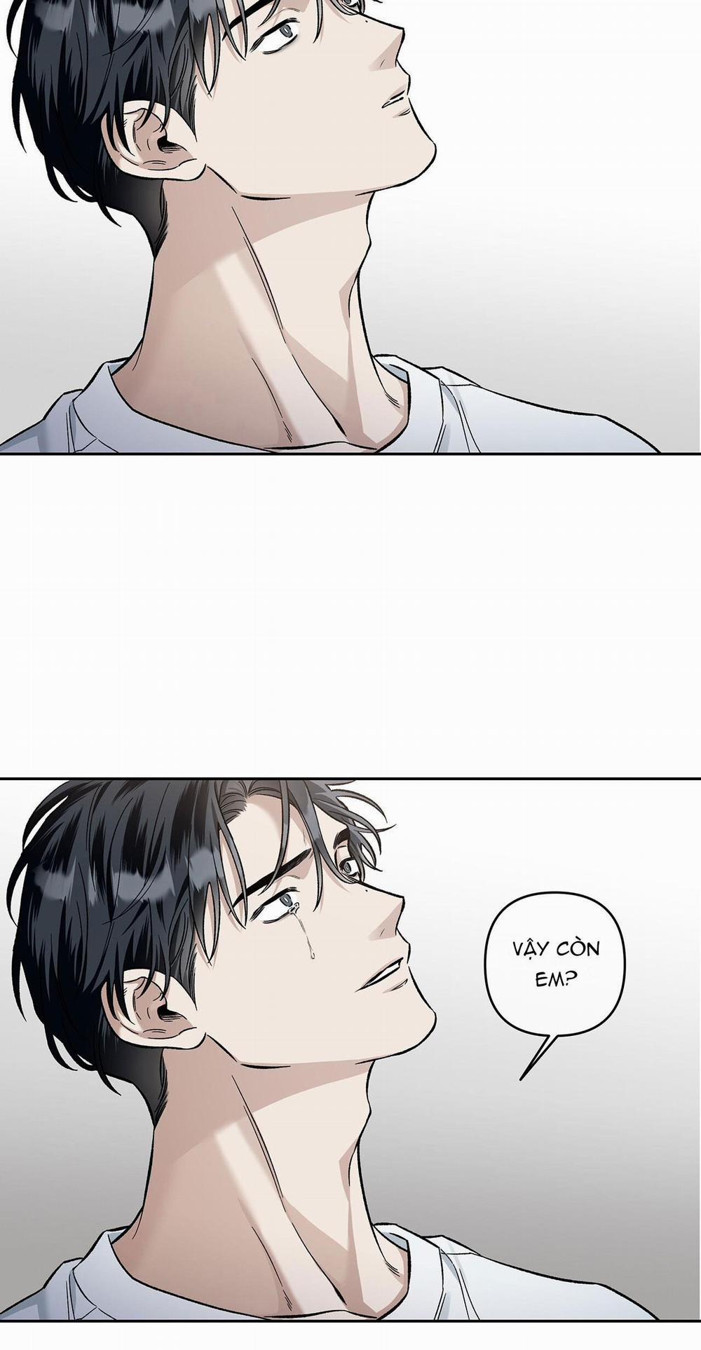 Dưới Vùng Đất Xanh 5 trang 16