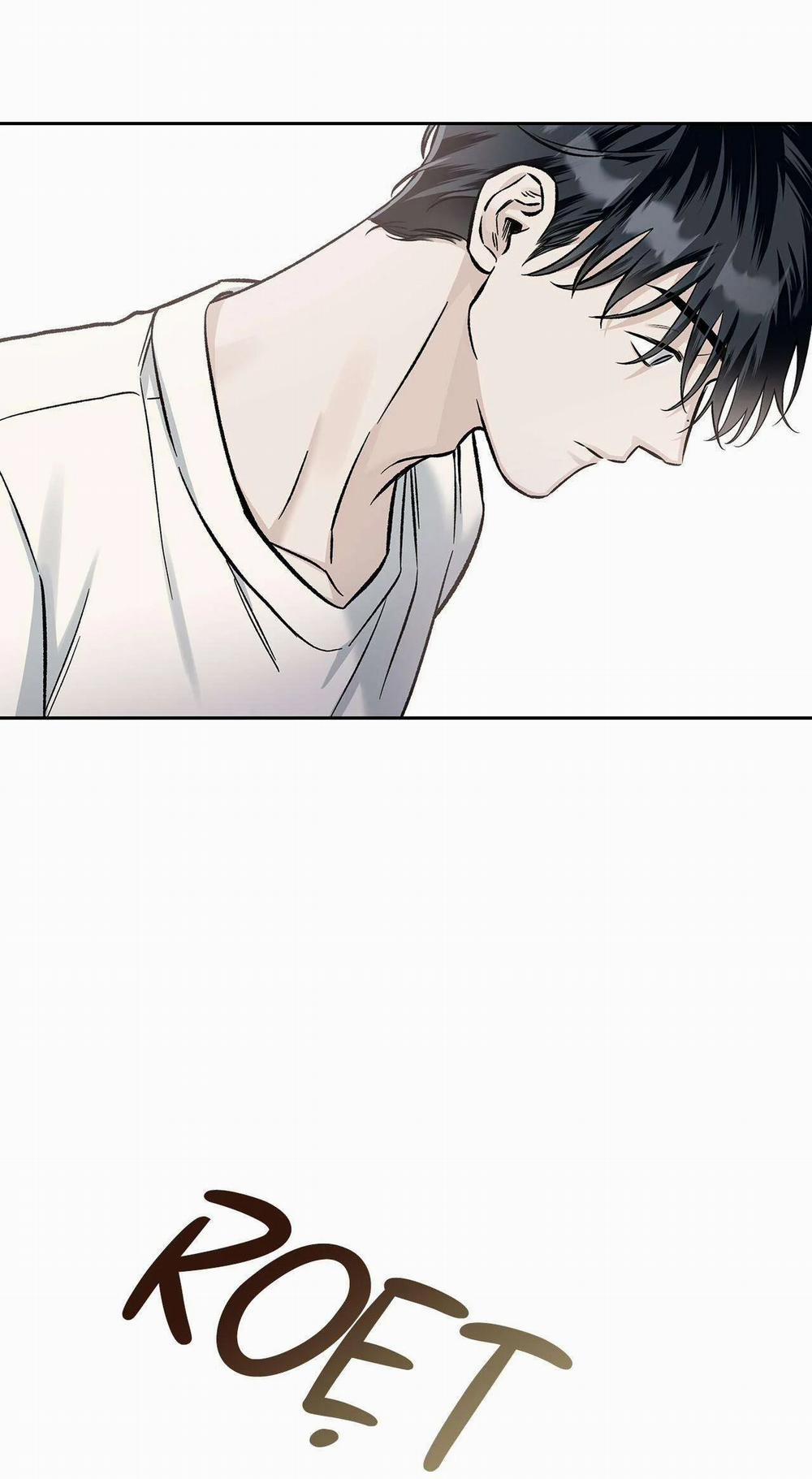 Dưới Vùng Đất Xanh 8 trang 21