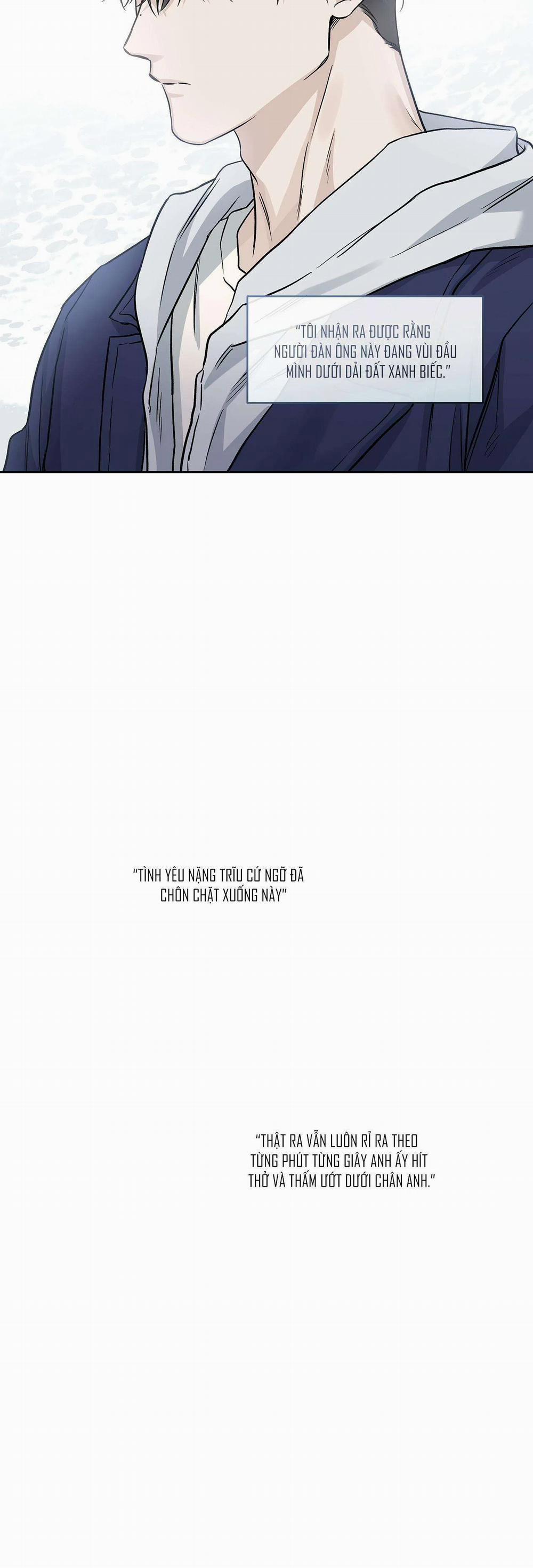 Dưới Vùng Đất Xanh 8 trang 39