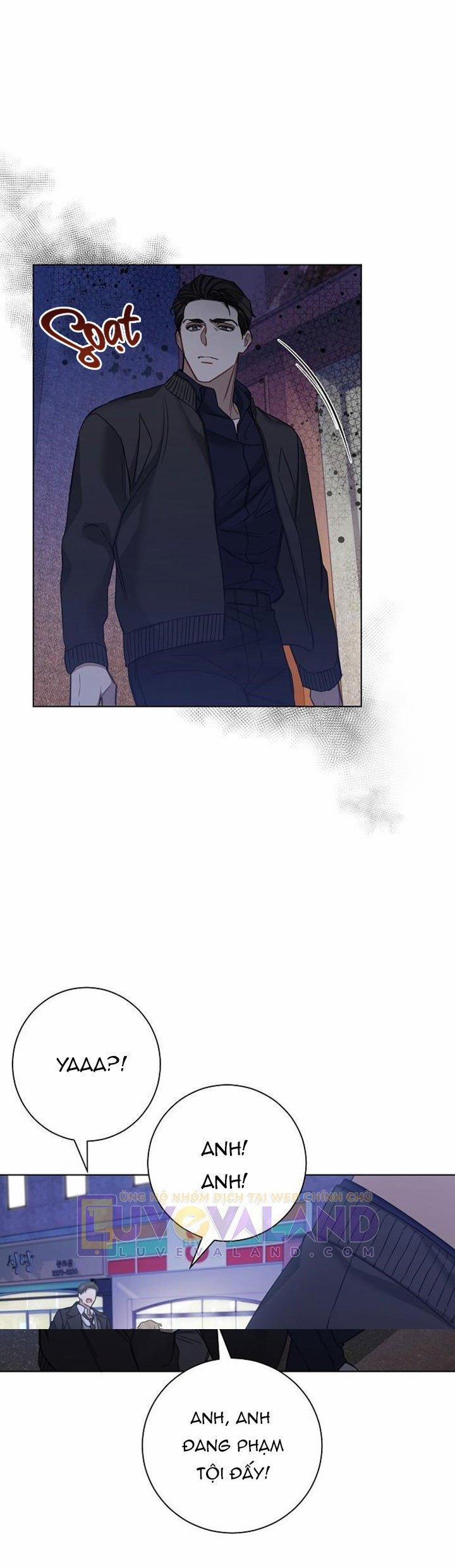 Đường Băng 36.5 trang 1