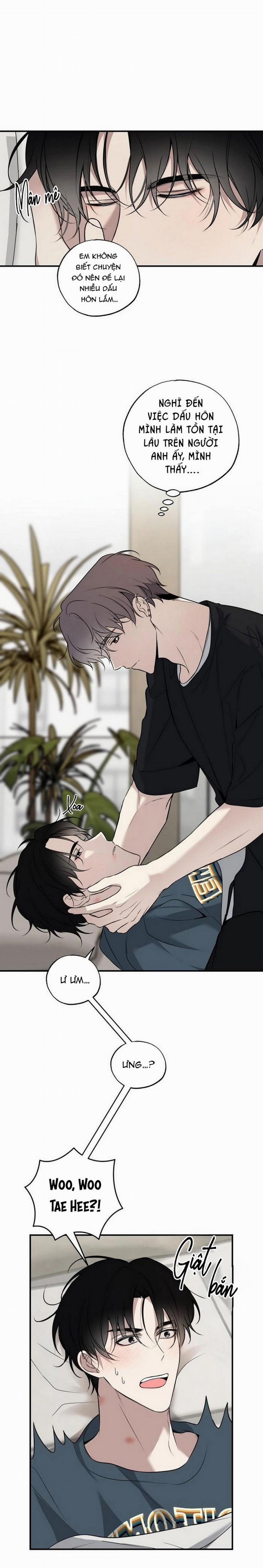 ĐƯỜNG CHÉO 12 trang 3