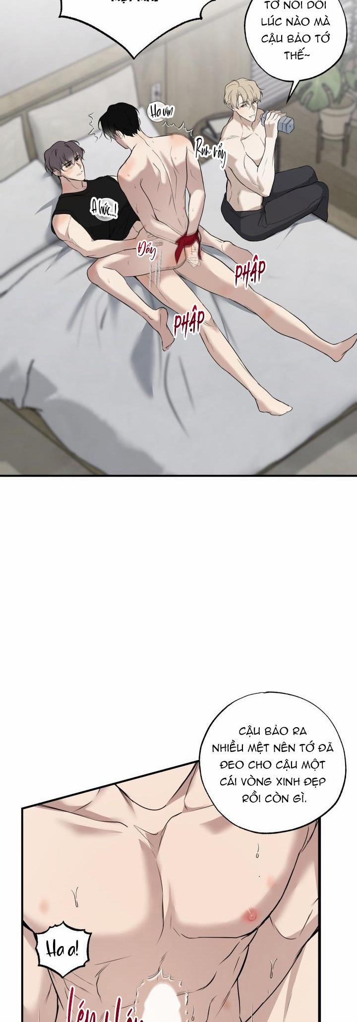 ĐƯỜNG CHÉO 13 trang 20