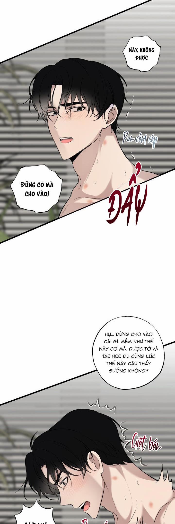 ĐƯỜNG CHÉO 13 trang 28