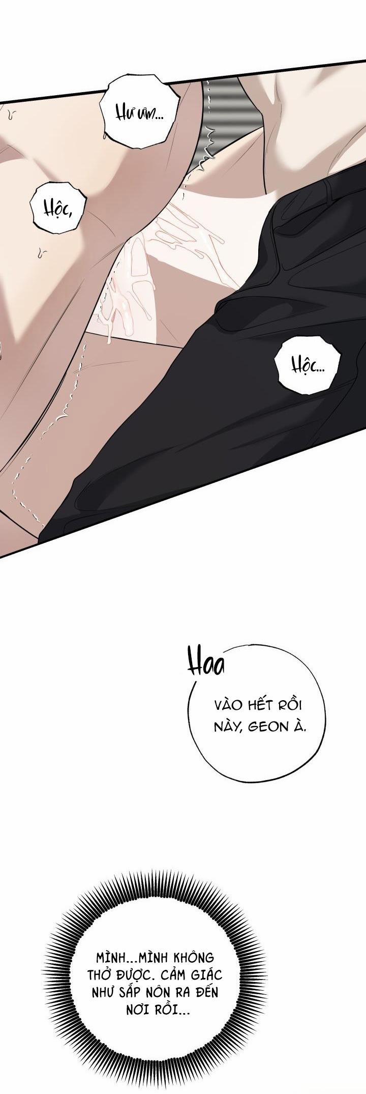 ĐƯỜNG CHÉO 13 trang 30