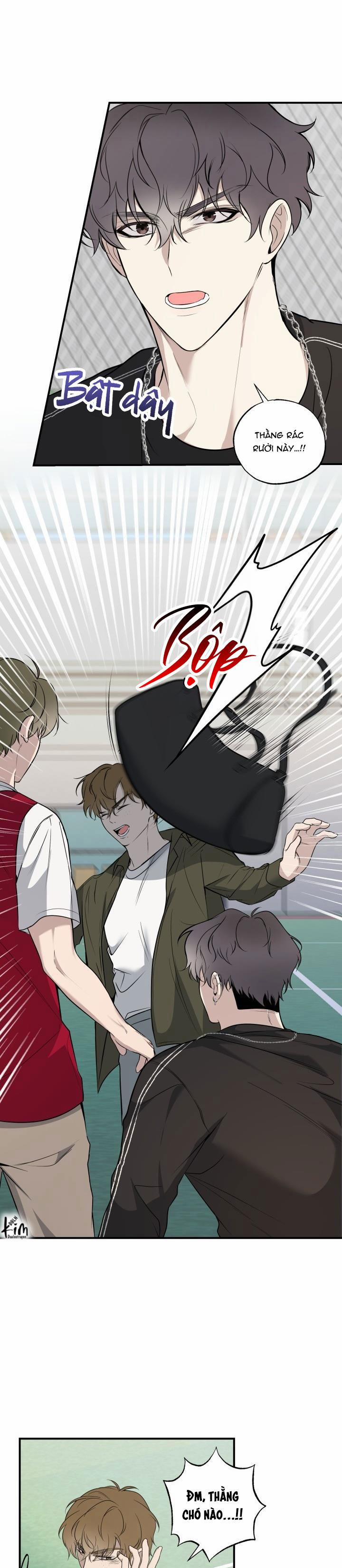 ĐƯỜNG CHÉO 5 trang 16