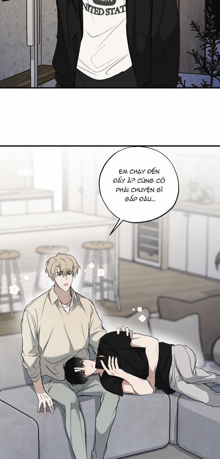 ĐƯỜNG CHÉO 9 trang 39