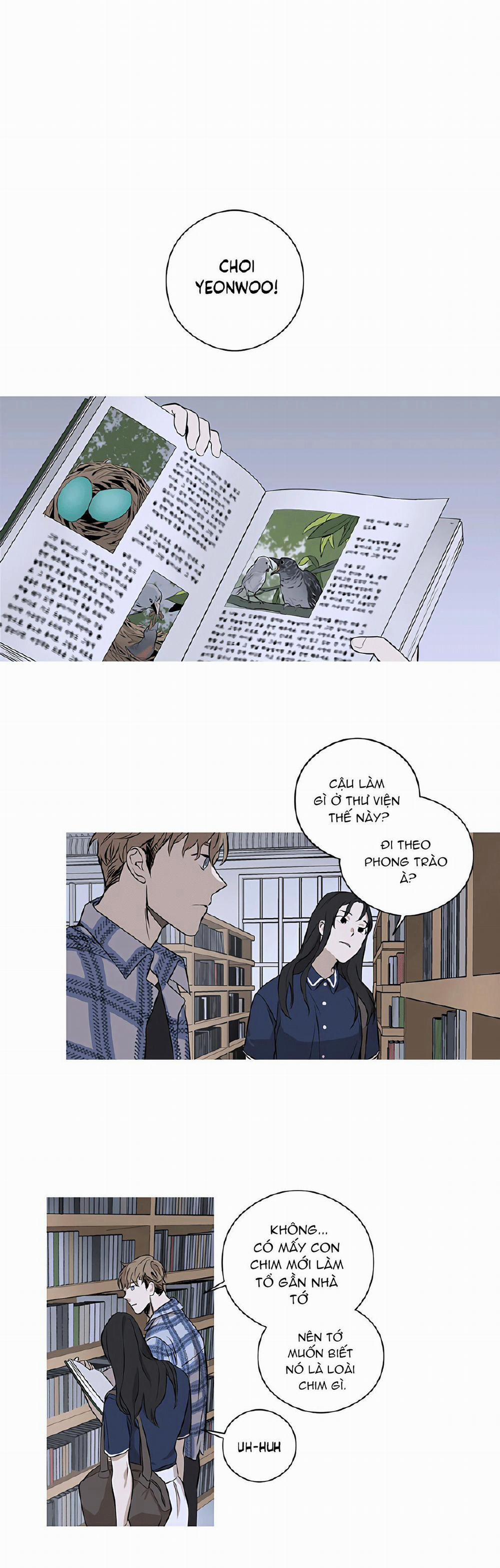 Đường Chim Bay 2 trang 0