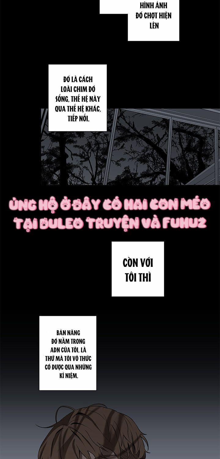 Đường Chim Bay 5 trang 19